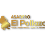 logos web png 2024-1_Mesa de trabajo 1 copia 18
